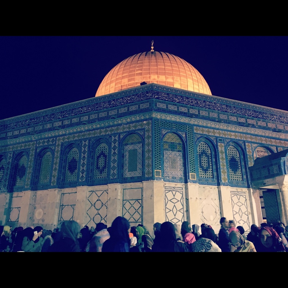 Meet your Posher, Warda